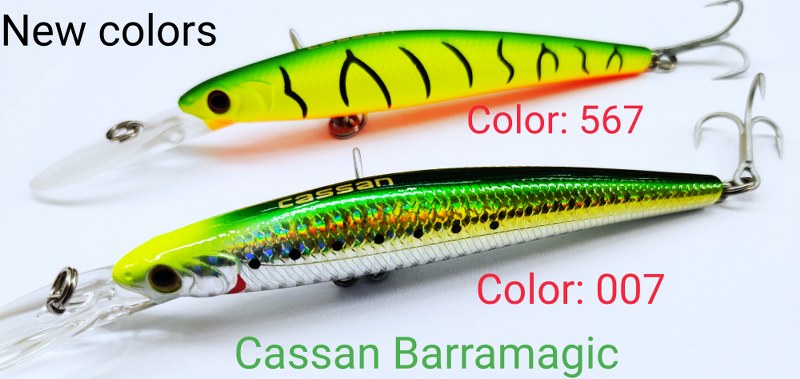 Fishing lures: Cassan barramagic lures online in India - CASA IBRAHIM