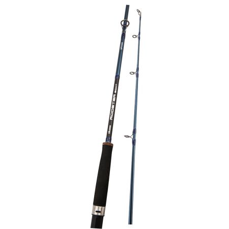 Okuma rodster spin fishing rod buy online at best price – CASA IBRAHIM
