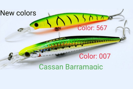 Cassan Barramagic fishing lures