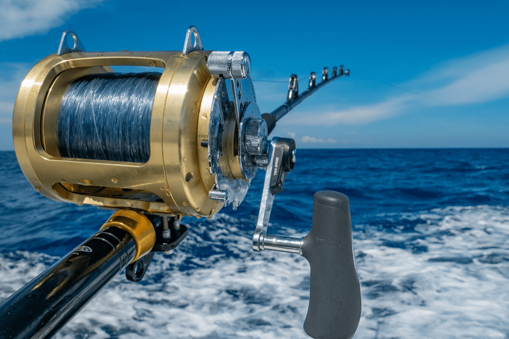 How to Choose the Right Fishing Reel for Your Next Fishing