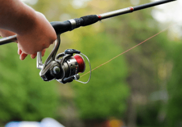 Top 5 Rod And Reel Combos For Beginners: The Complete Guide