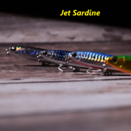 Jet Sardine