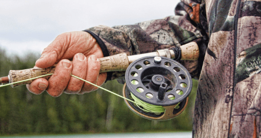 Choosing The Right Gear Ratio For Your Fishing Reel In Goa