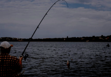 Goa’s Fishing Season Is in Full Swing: A September-October Guide for First-Time Anglers