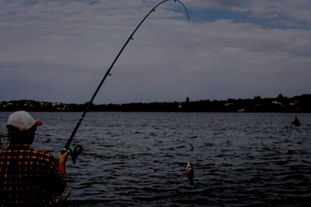 fishing lines for night fishing