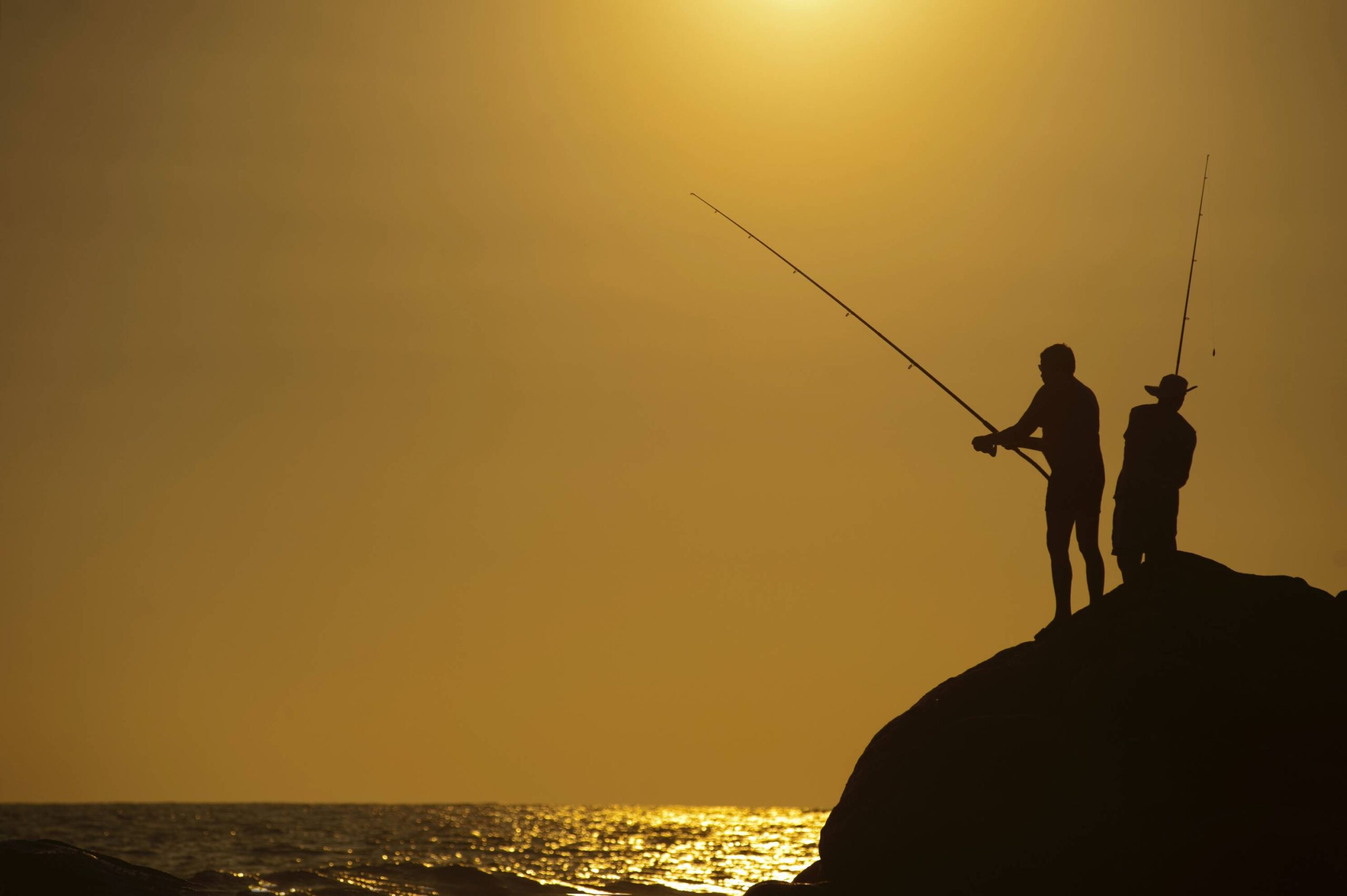How to choose the right and best fishing rod – Complete Guide