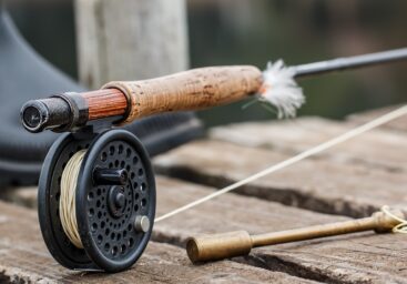 How to Clean & Maintain a Fishing Reel?