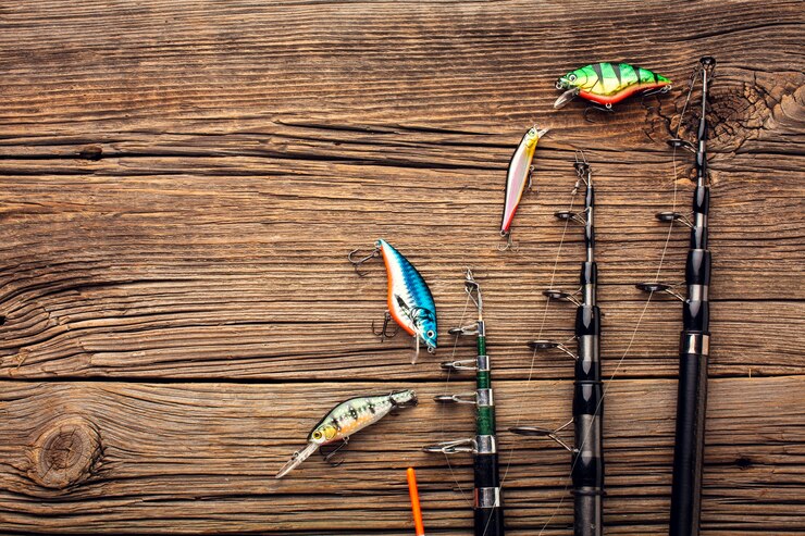 The Best Fishing Hooks for Different Types of Fish in India