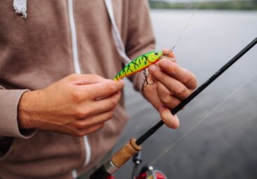Hook, Line, and Sinker: Exploring Fishing Rods Online in India