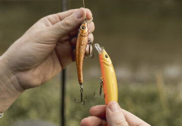 Guide to Choosing the Right Fishing Bait for Different Species