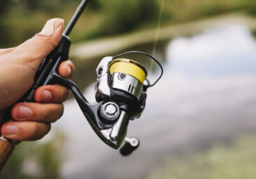 Spinning vs. Baitcasting: Which Fishing Reel Is Right for You?