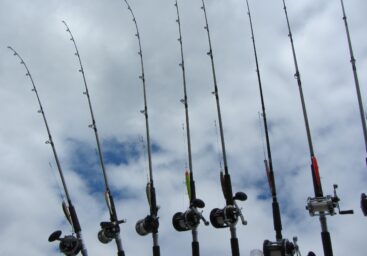 Top 5 Reasons to Choose Okuma Wave Power Spinning Rod for Your Next Fishing Trip